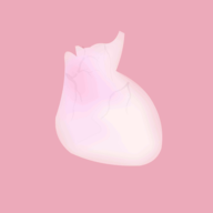 life生命模拟器官方正版