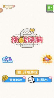 挑战烧脑游戏下载最新版