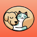 peppy cat app最新官方版 v1.0.0