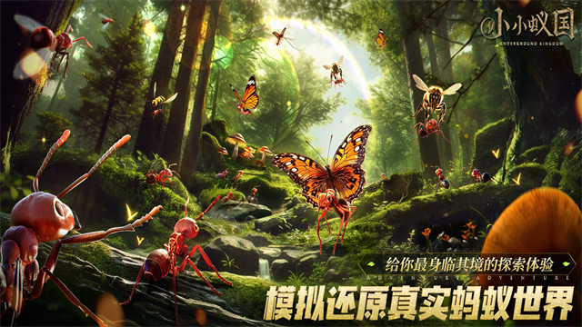 小小蚁国国际服