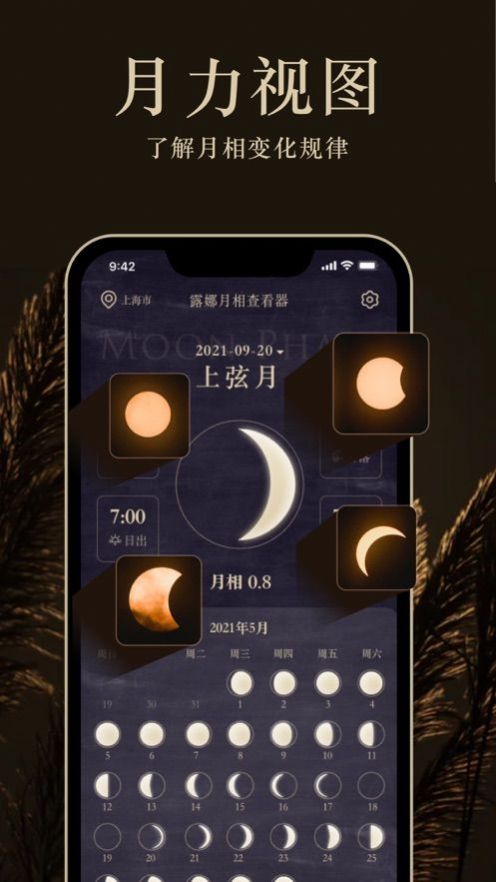 MOON ProApp官方最新版