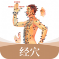 经络穴位标准指南app官方版