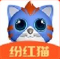 纷红猫app赚钱平台官方下载 v1.0.0
