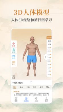 经络穴位标准指南app官方版