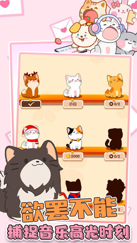 猫咪音游二重奏游戏最新版