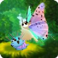彩翼蝴蝶保护区全图鉴安卓版(Flutter)