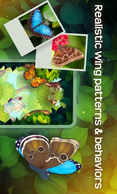 彩翼蝴蝶保护区全图鉴安卓版(Flutter)