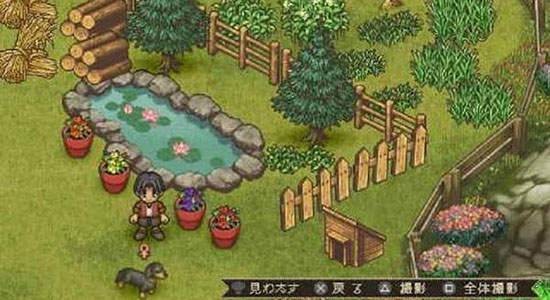 欢迎来到绵羊村安卓版下载