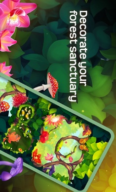 彩翼蝴蝶保护区全图鉴安卓版(Flutter)