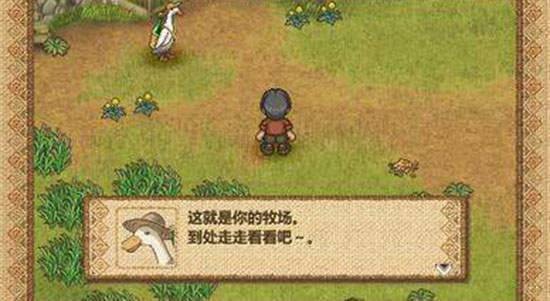 欢迎来到绵羊村安卓版下载