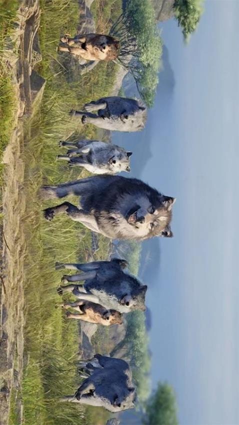 恶狼传说模拟器安卓版最新下载