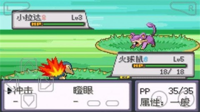 口袋妖怪暗黑银神兽