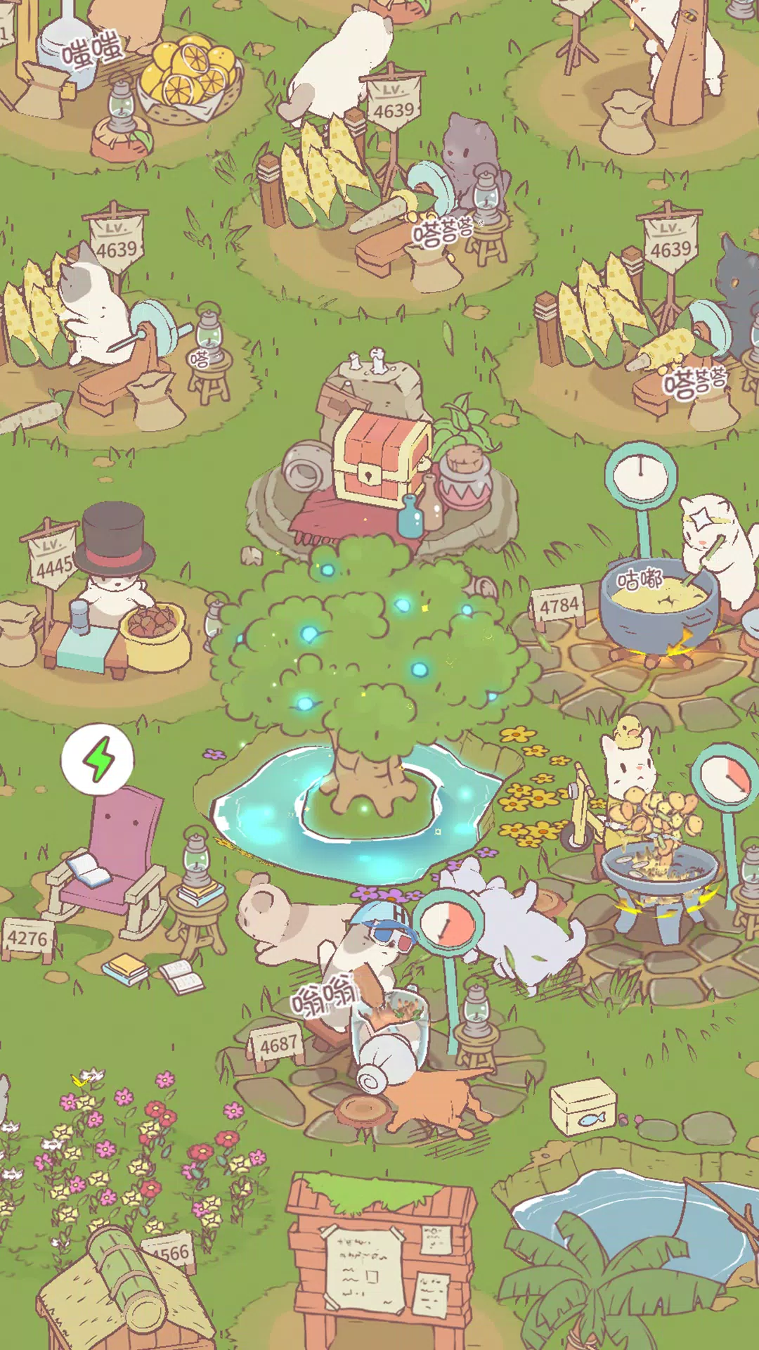 猫咪和汤国际服