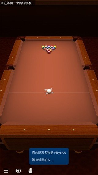 3d台球专业版