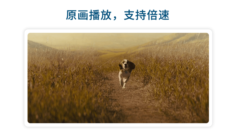 飞鸟下载器tv版