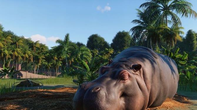 动物园之星中文汉化最新版 Planet Zoo v1.0