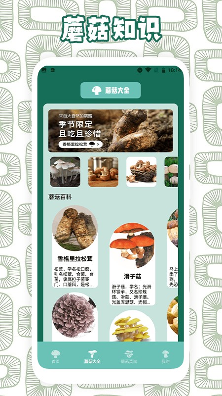 蘑菇识别助手官方版