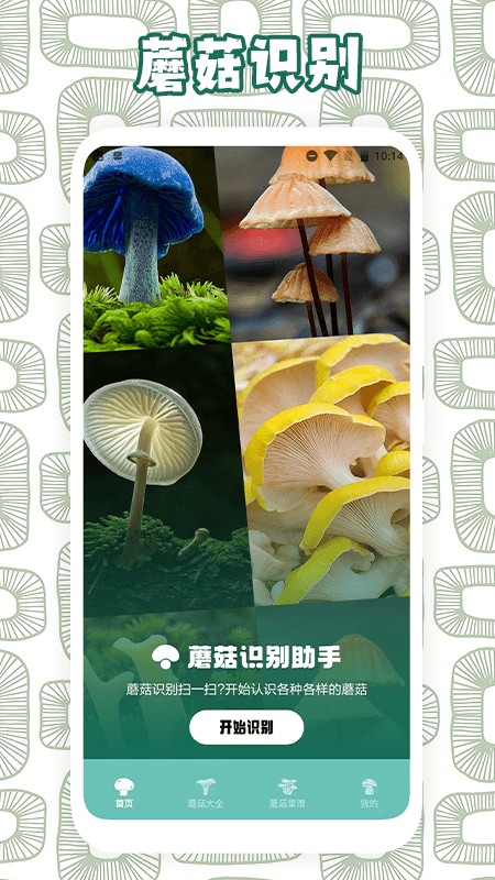 蘑菇识别助手官方版