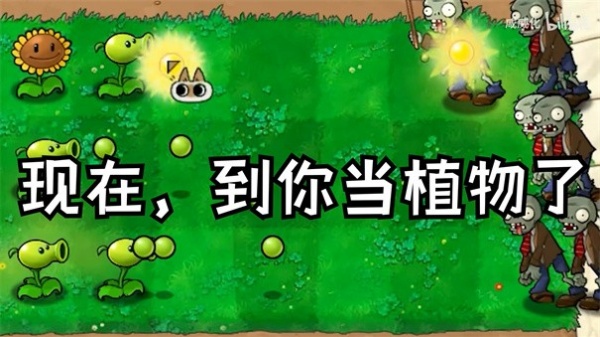 植物大战僵尸繁琐版