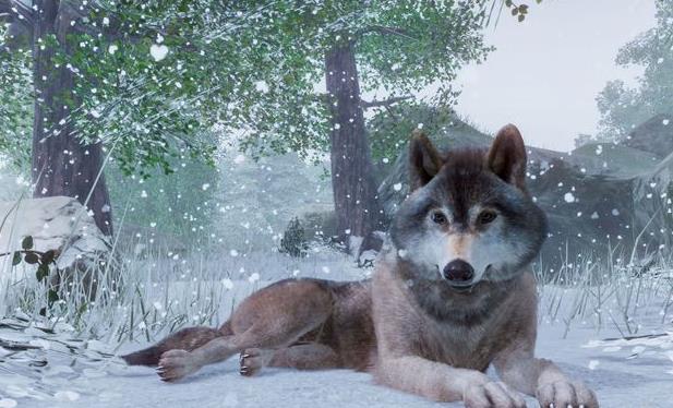动物园之星中文汉化最新版 Planet Zoo v1.0