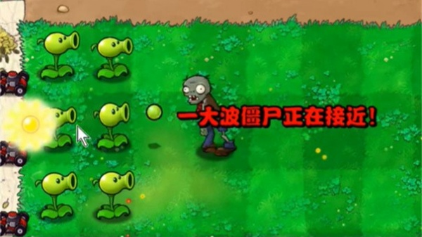 植物大战僵尸繁琐版