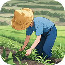 这城有良田官服