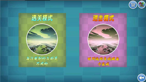 我的鸟