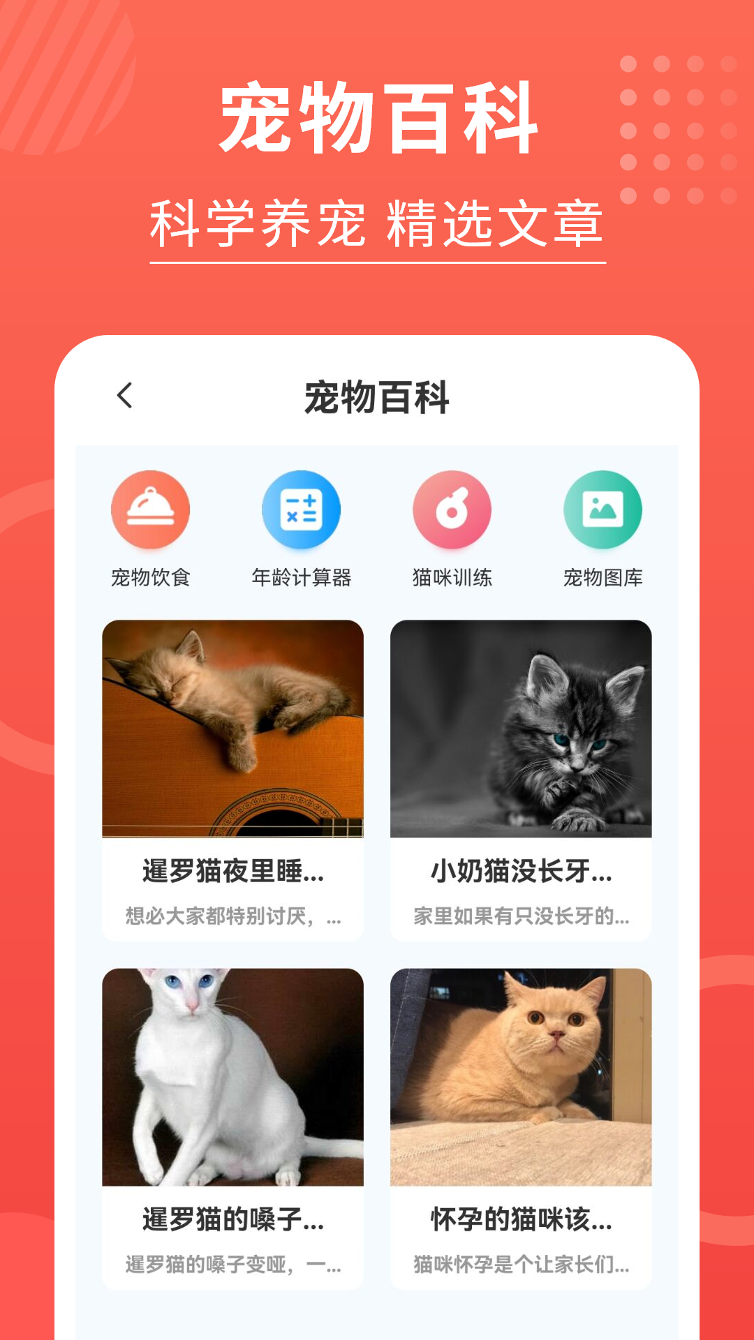 猫猫翻译器安卓版