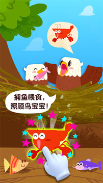 宝宝鸟类认知启蒙教育app最新手机版下载