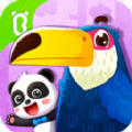 宝宝鸟类认知启蒙教育app最新手机版下载