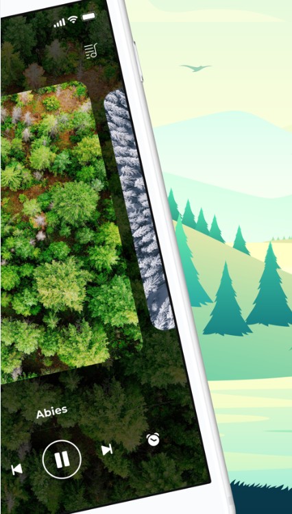森林之声APP官方版 v1.0