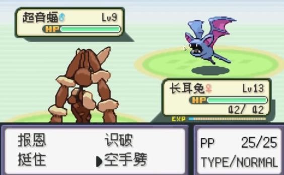 口袋妖怪火箭队汉化版