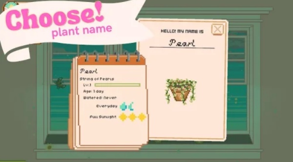 窗边花园最新版