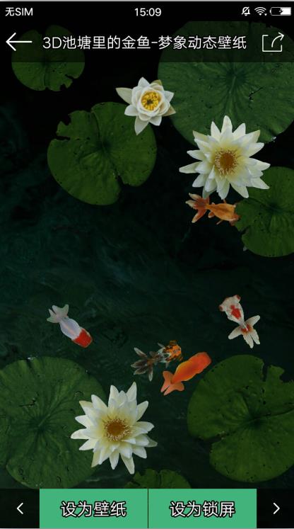 梦象动态壁纸官方客户端 v1.7.6