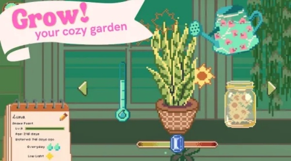 窗边花园最新版