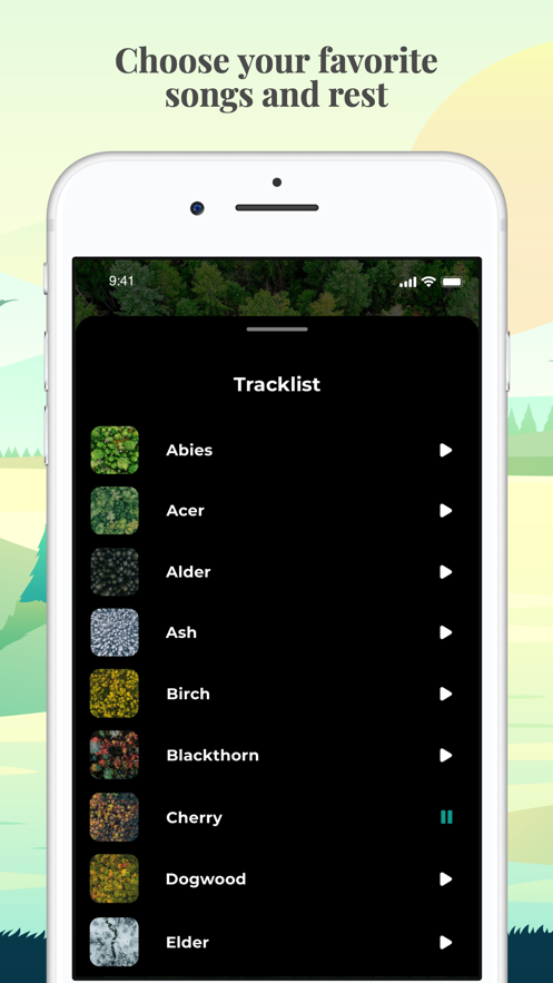 森林之声APP官方版 v1.0
