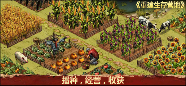 重建生存营地手游