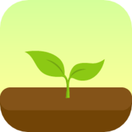 forest专注森林官方版