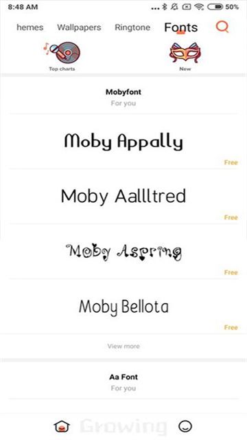 小米主题国际版(Xiaomi Themes)