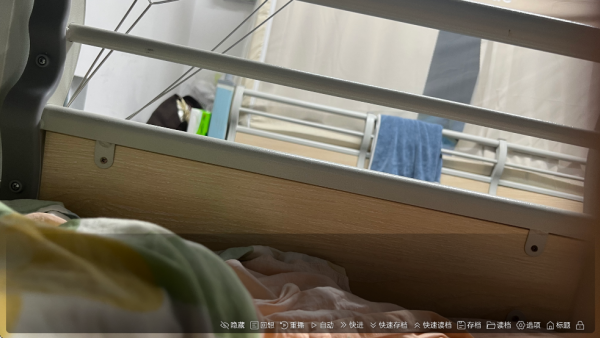 沙湖神大人求包养游戏手机版