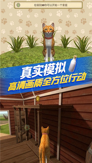 猫咪生存模拟器无限金币版