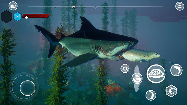 食人鲨正版手游