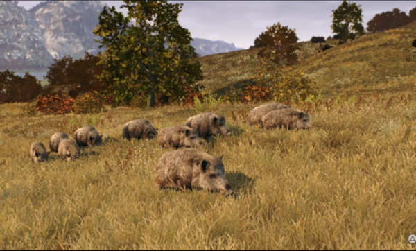 猎人之路狂野欧洲最新版