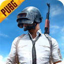 BETA PUBG MOBILE体验服手游