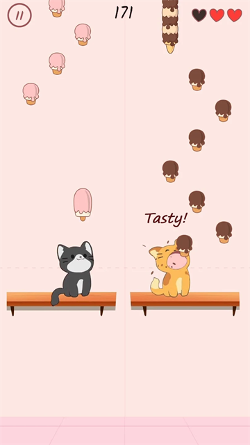 猫咪二重唱