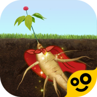 夺笋高手2024最新版本