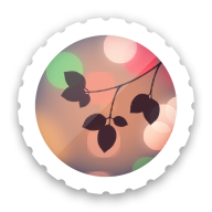 索尼背景虚化app官方下载安装 v2.4.14