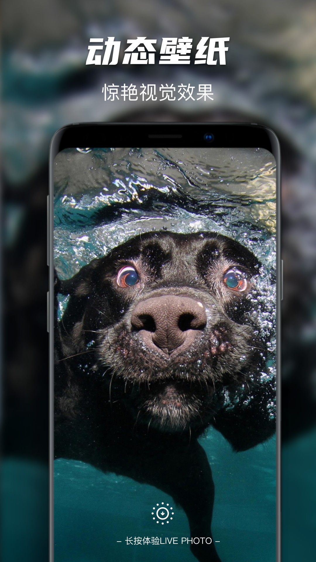 高清壁纸大师app安卓版下载