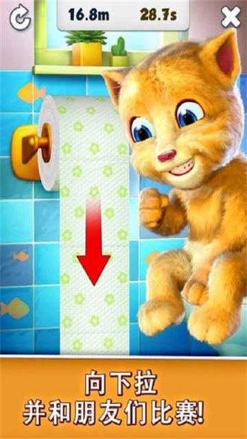 会说话的金杰猫游戏