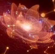 cyberverse地图导航平台测试版 v1.0.31